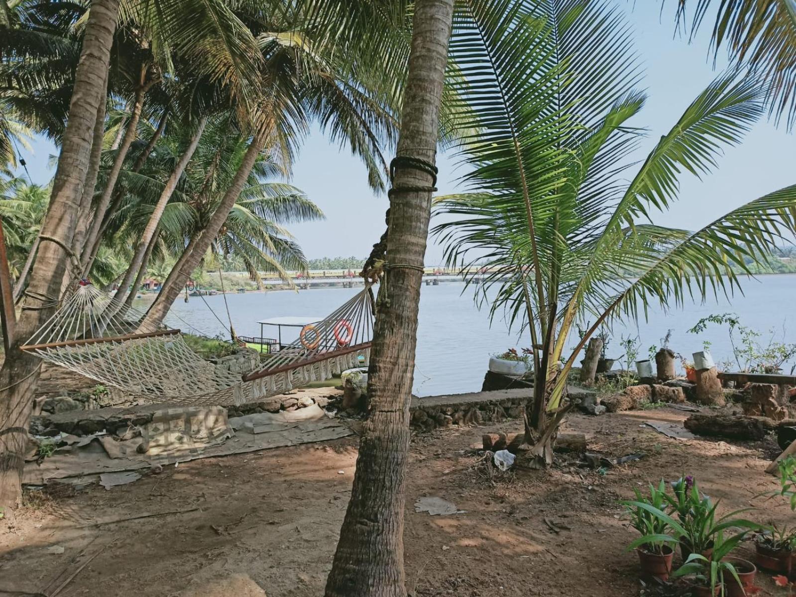 Green Island Homestay Riverside Кожикоде Экстерьер фото